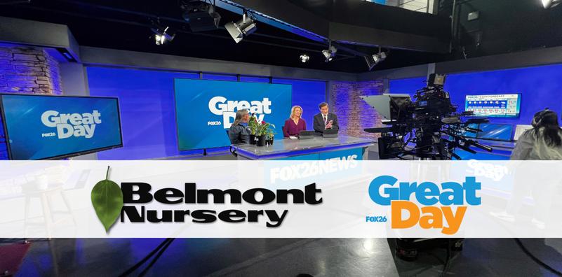 Great Day, KMPH 26 TV Appearance Great Day, KMPH 26 TV Appearance