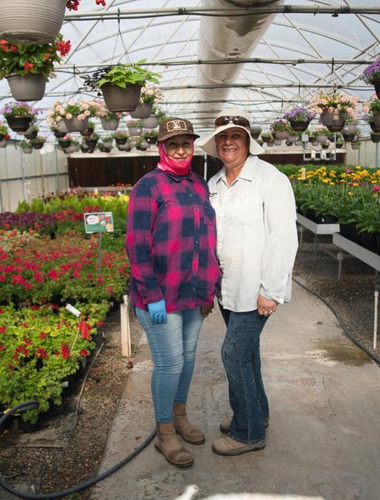 Carreras en Belmont Nursery