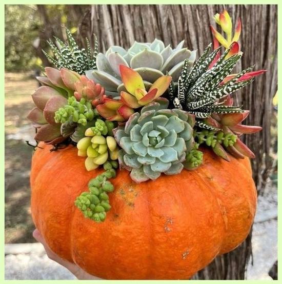 Festive Fall Pumpkin!