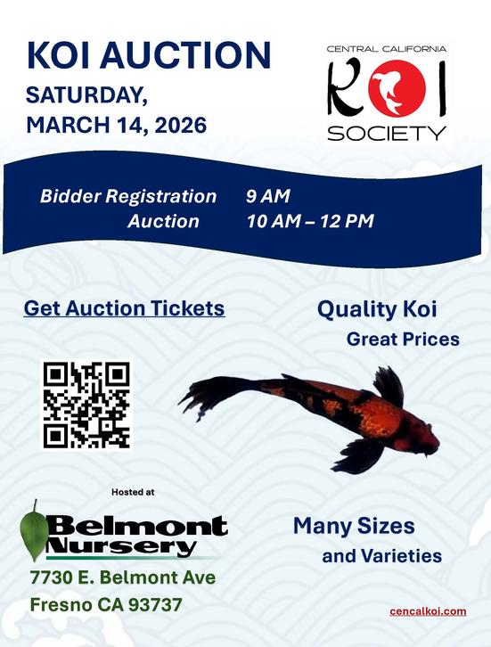 Join The Koi Society for Their Annual Koi Auction