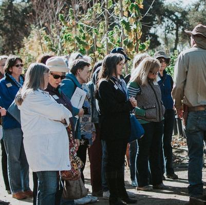 Special Group Nursery Tours