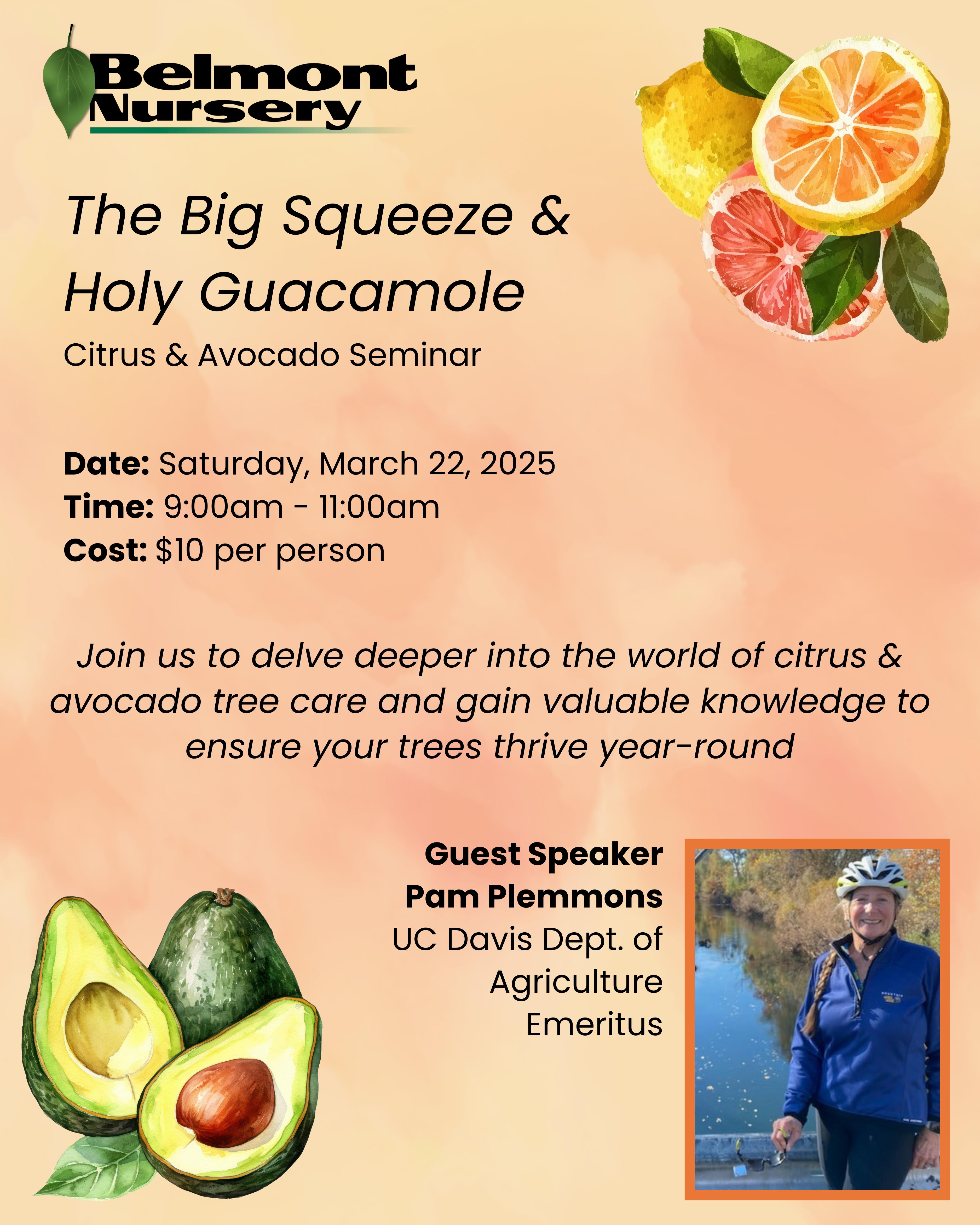 The Big Squeeze & Holy Guacamole