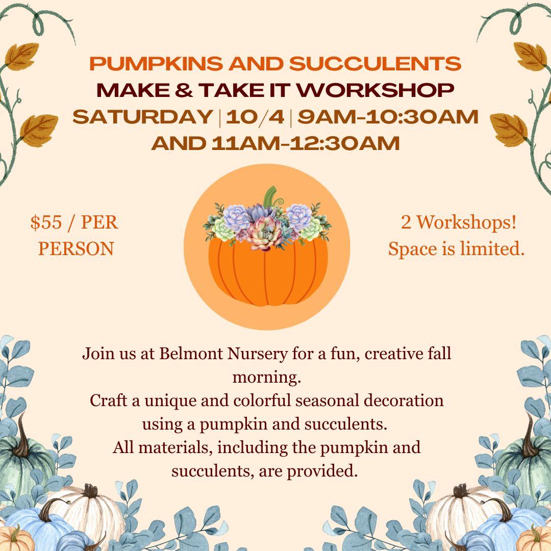 Pumpkin and Succulent Workshop