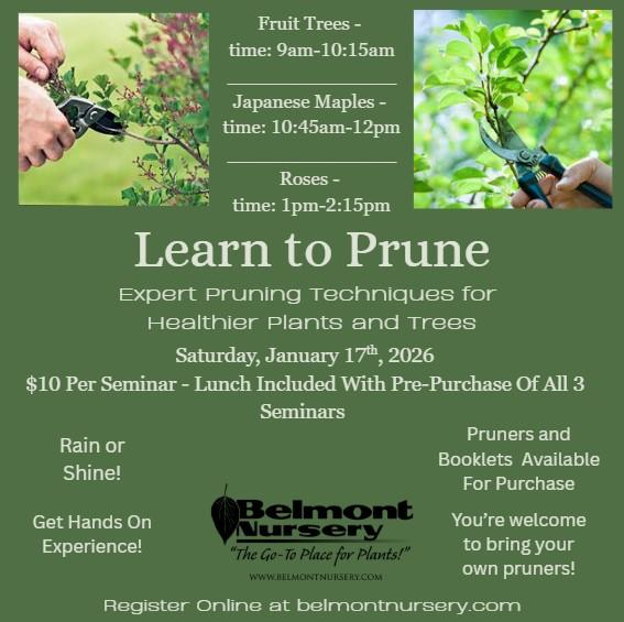 Pruning Seminar 2026