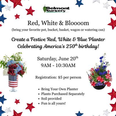BYOP 250th Patriotic Planter Decorating Workshop