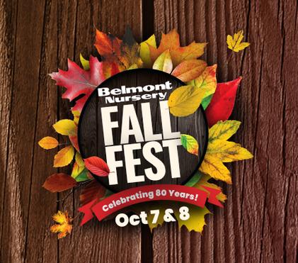 Fall Into Fun! Fall Into Fun!