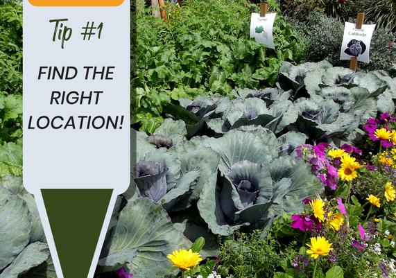 National Garden Month 2