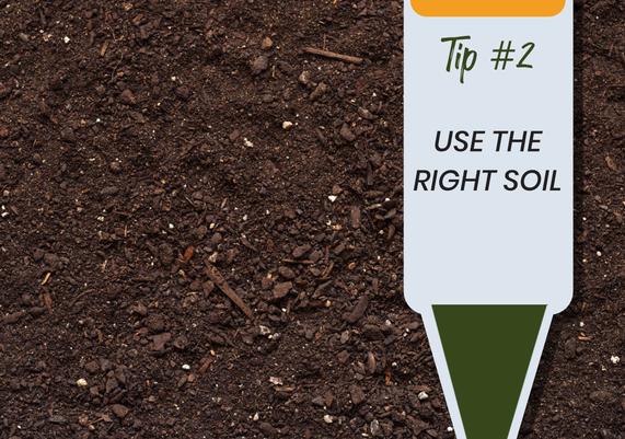 National Garden Month 3