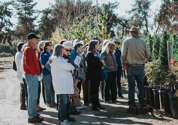 Henderson Yard Tour