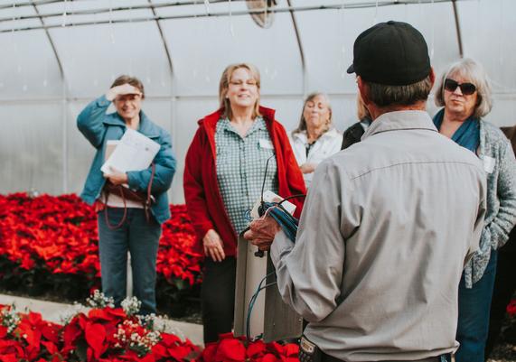 Poinsettia Tour