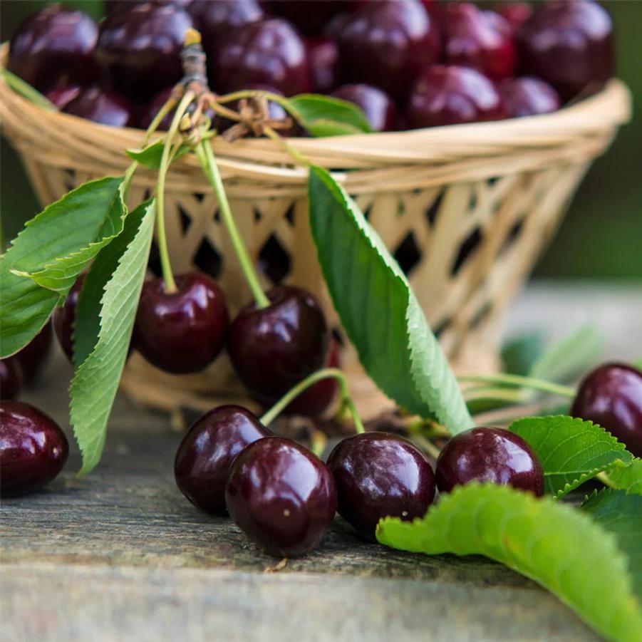 Cherry Bing