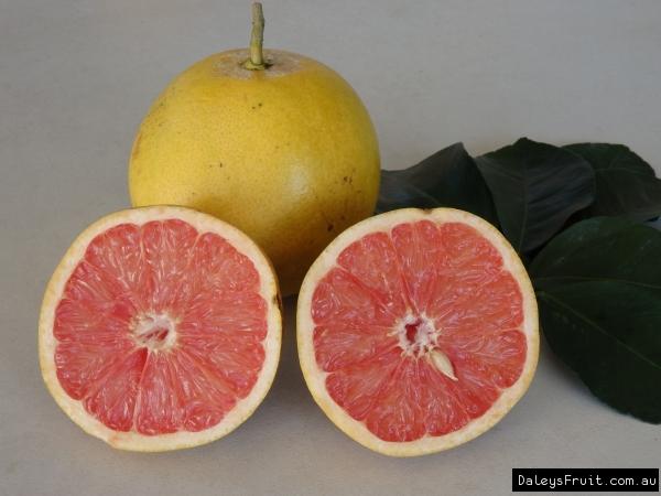 Grapefruit Flame