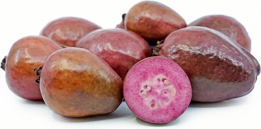 Guava Malaysian Red