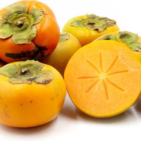 Persimmon Izu