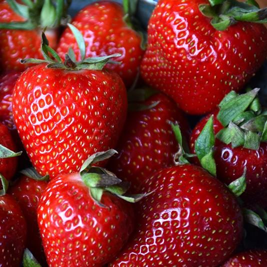 Strawberry Albion