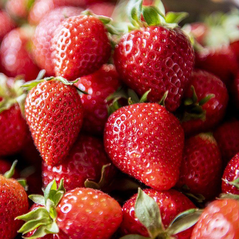 Strawberry Chandler