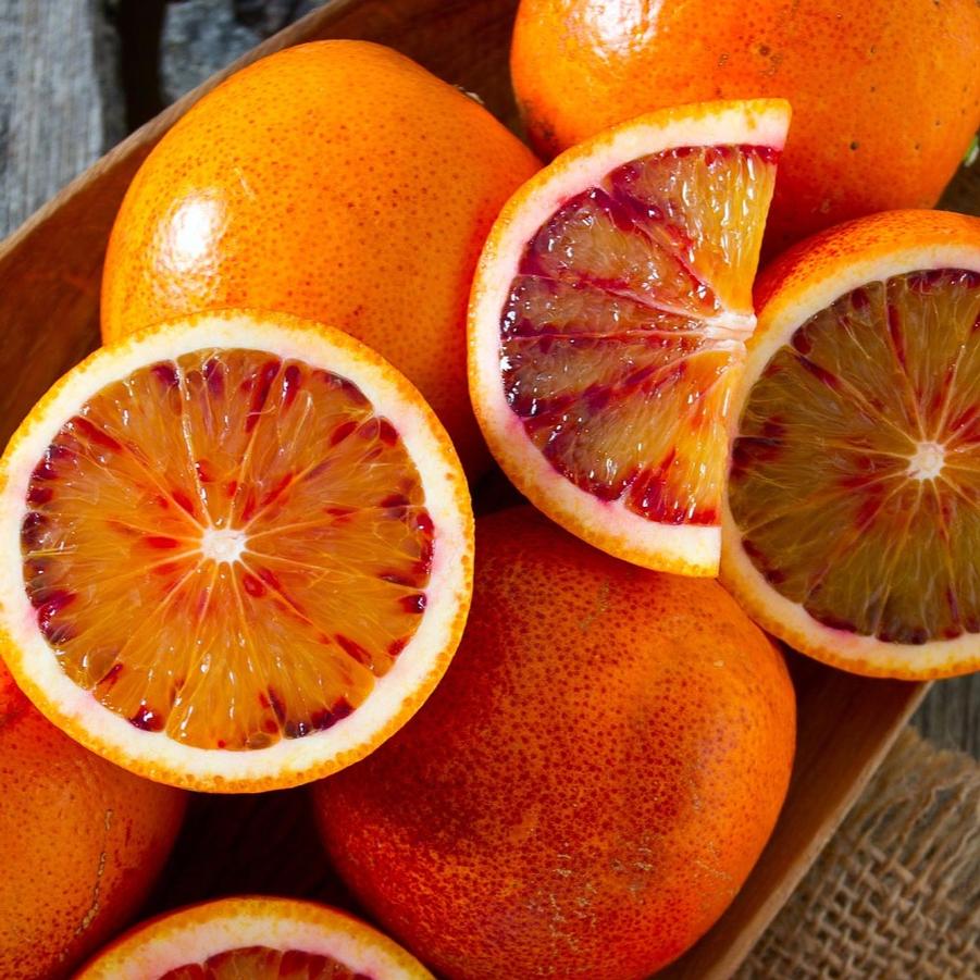Blood Orange Taracco