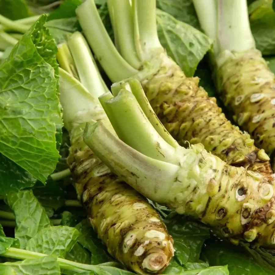 Eutrema or Wasabia japonica 