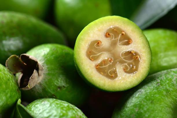 Feijoa sellowiana 