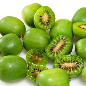 Kiwi Vincent (female)