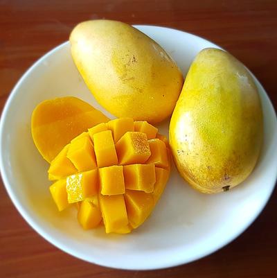 Mango Caraboa