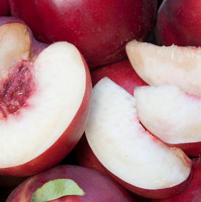 Nectarine Atomic Red