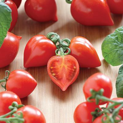 Tomato Heartbreaker