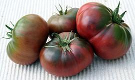 Tomato heirloom Black From Tula